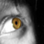 Profile Picture of Daniel Watson (@daniel watson) on Flickr