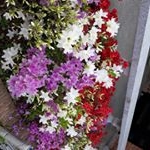 Profile Picture of 박필신 (@bagpilsin3776) on Instagram