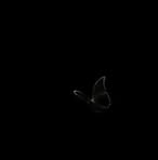 Profile Picture of Houl Panha (@houl.panha) on Facebook