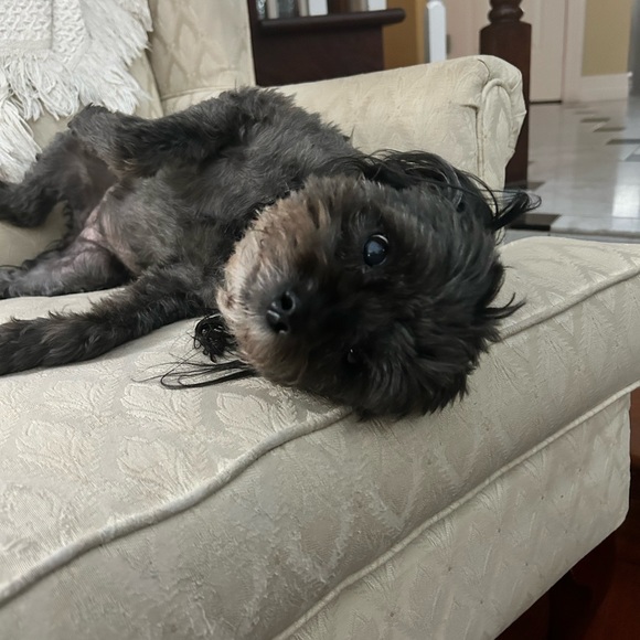 Profile Picture of Ellen Balkema (@ellenbalkema) on Poshmark