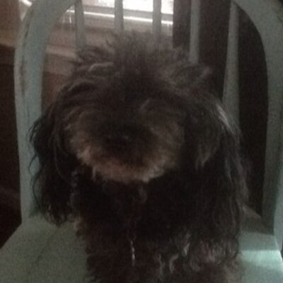 Profile Picture of Susan Irvin (@susan_irvin) on Twitter