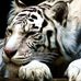 Profile Picture of Eric Frye (@eric.frye.714) on Facebook