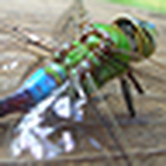 Profile Picture of Laney Smith (@laneyysmith) on Flickr