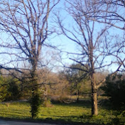 Profile Picture of Chris Nichol (@chrisnichol3845) on Youtube