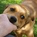 Profile Picture of Jeffrey Forrest (@jeffrey.forrest.52035) on Facebook