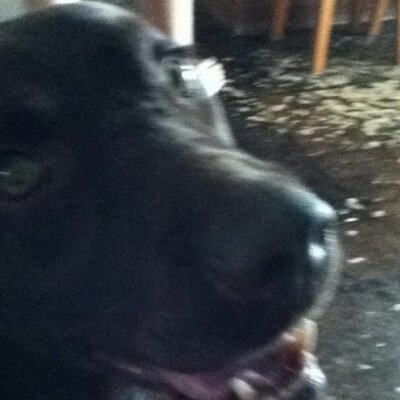 Profile Picture of Max Leonard (@maxleonard2) on Twitter