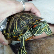 Profile Picture of Jasmine Mota (@jasminemota620) on Youtube