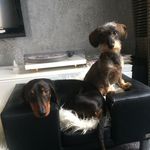 Profile Picture of Michaela Lecki (@oma_ela0511) on Instagram