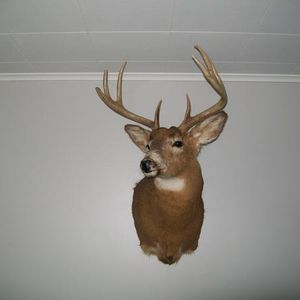 Profile Picture of Eric Carlin (@foxx13racer) on Myspace