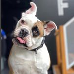 Profile Picture of Deanna (@deejeffries777) on Instagram