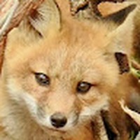 David Rushbrook - Quora Profile Picture of David Rushbrook (@david-rushbrook-4) on Quora