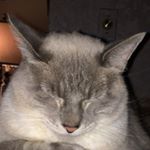 Profile Picture of Michael Eftink (@texas_mini_man) on Instagram