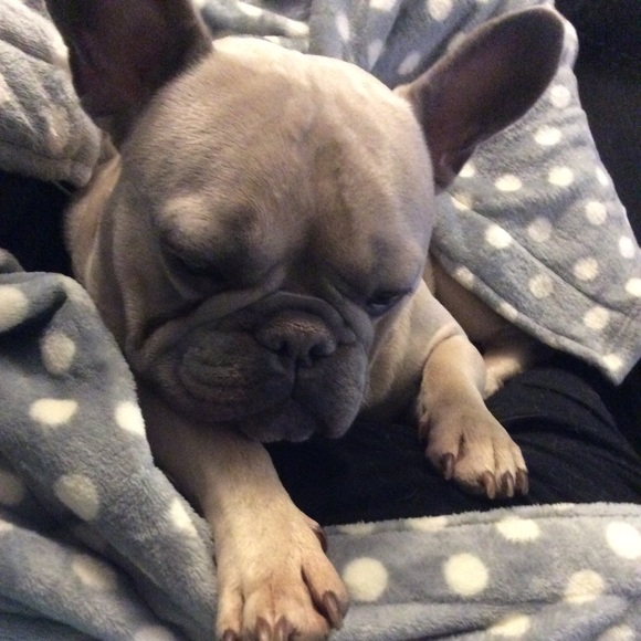 Profile Picture of Correen Wentz (@cwentz105) on Poshmark