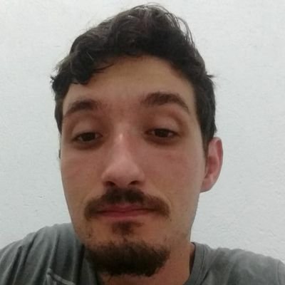 Profile Picture of Daniel Blau Martins (@MartinsBlau) on Twitter