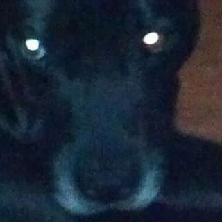 Profile Picture of Jake Willoughby (@jake.willoughby.7) on Facebook