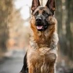 Profile Picture of Bryan Rendon (@bryan.rendon.37) on Instagram