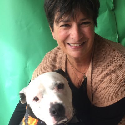 Profile Picture of Diane Madden (@DianeMadden_TOH) on Twitter