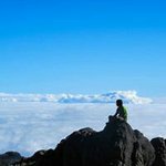 Mario Bolaños - Instagram Profile Picture of Mario Bolaños (@mario.bolanos) on Instagram