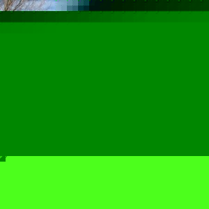 Profile Picture of Larry Stelter (@grandpa_to_many) on Myspace