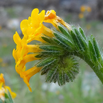 Profile Picture of Tourdupain (@tourdupain) on Flickr