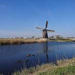 Profile Picture of RICHARD (@richardccfmd) on Flickr