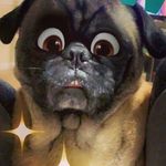 Profile Picture of DANIEL WILSON (@danielwilson__12) on Instagram