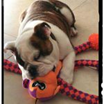 Profile Picture of Jacqueline Cogle (@jacklynannie) on Instagram