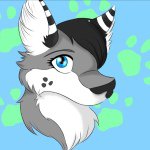 Profile Picture of 💜Mitzi💜 (@mitzi_the_fox) on Instagram