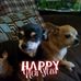 Profile Picture of Debbie Catron (@Debbie-Catron) on Facebook