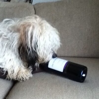 Profile Picture of Owen Fitzpatrick (@Owen321Owen) on Twitter