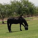 Profile Picture of Phyllis Harrold (@Phyllis-Harrold) on Facebook