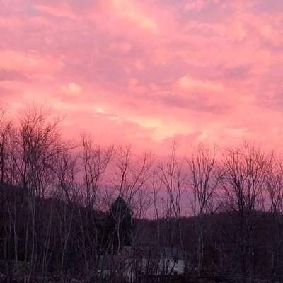 Profile Picture of Leah Martin (@lmartin826) on Twitter