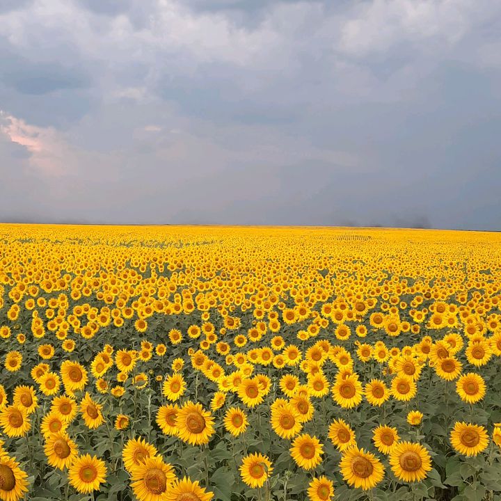 Profile Picture of Андрей82 (@andrewgolts) on Tiktok