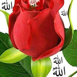 Profile Picture of Rizwan Bashir (@rizwan.bashir.1840) on Facebook
