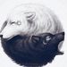 Profile Picture of Nick Matvichuk (@DevilSpYdr) on Pinterest