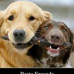 Profile Picture of jeremyschmicking (@schmickingjeremy) on Instagram