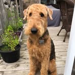 Profile Picture of Arthur H Branch (@arthur.h.branch) on Facebook