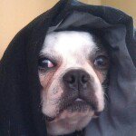 Profile Picture of Joe Rausch (@jrausch52) on Instagram