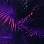 Profile Picture of Ꭰҽѵìղ ǶìӀէօղ (@devin_hilton) on Instagram