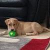 Profile Picture of David Schlereth (@@davidschlereth) on Tiktok