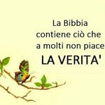 Profile Picture of Michele Vulpis (@michele.vulpis.71) on Instagram