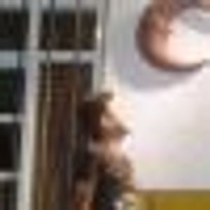 Profile Picture of Edwin Lozano (@107945341) on Myspace