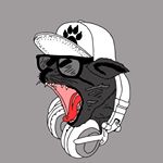 Joe Caires - Instagram Profile Picture of Joe Caires (@joseph_caires) on Instagram