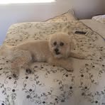 Profile Picture of Nancy Mendelson (@nancy.mendelson.16) on Facebook