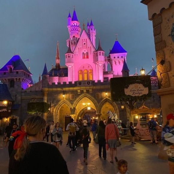 Profile Picture of Rosemary Dowling (@rosemarydowling) on Poshmark