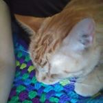 Profile Picture of Leah Brierton (@cosmicchaos2019) on Instagram