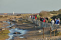 Profile Picture of Donna Nook - Wikipediaon Wikipedia