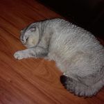 Profile Picture of Olga Rudenko (@olga.rudenko.754) on Instagram