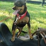 Profile Picture of Shelia Jim Rippy (@jimrippy6312) on Instagram