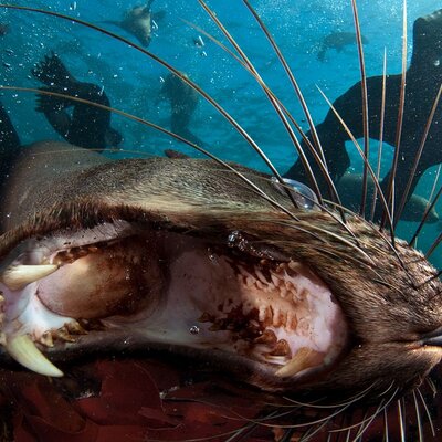 Profile Picture of Miguel Ordaz (@miguelordaz10) on Twitter